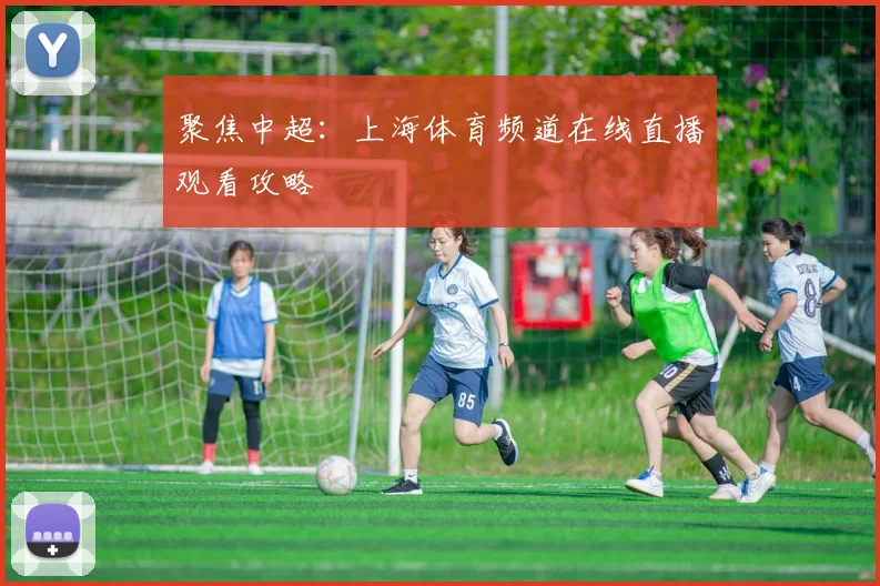 聚焦中超:上海体育频道在线直播观看攻略